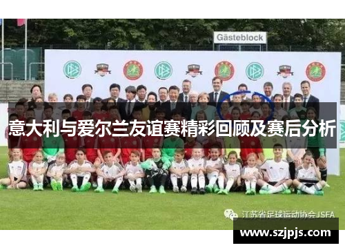 意大利与爱尔兰友谊赛精彩回顾及赛后分析