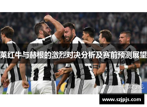 莱红牛与赫根的激烈对决分析及赛前预测展望
